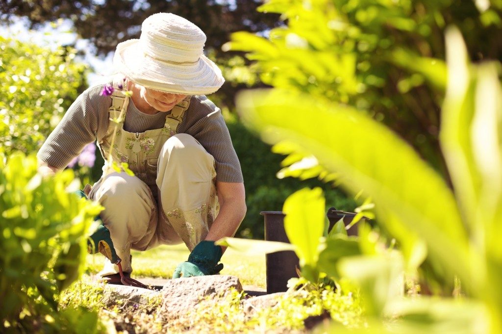 Elderly woman gardening