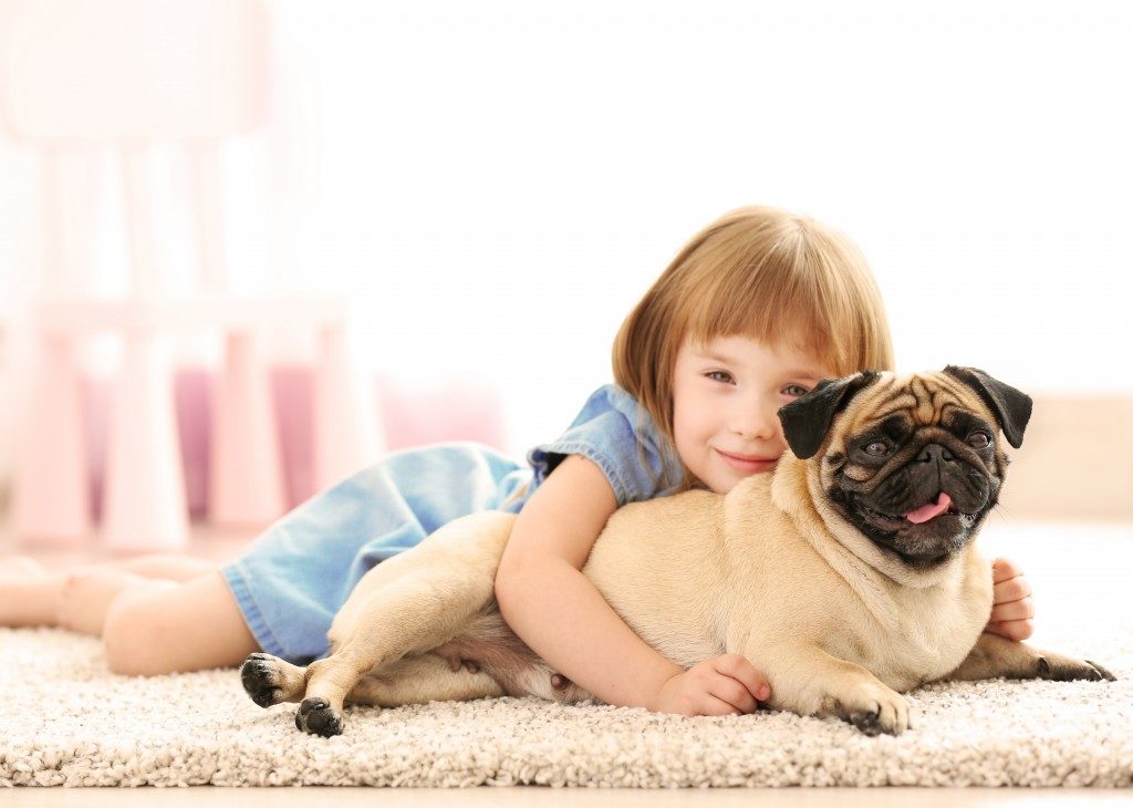 Cute girl playing with dog on carpet