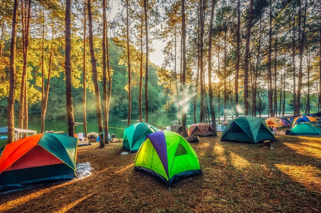 multiple tents set up in a forest by campers
