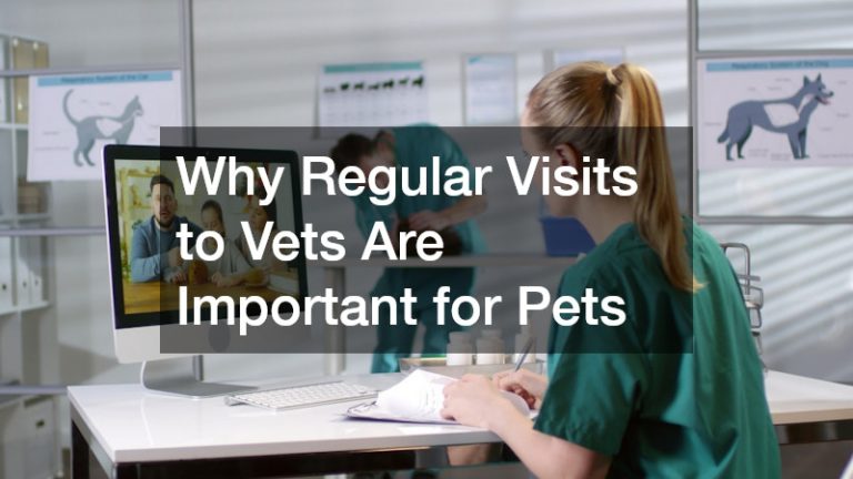 Why Regular Visits to Vets Are Important for Pets