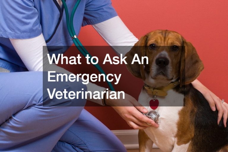 What to Ask An Emergency Veterinarian